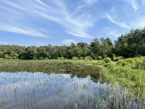 Wite Mar, Alpherbosk and Het Witte Huis Loop