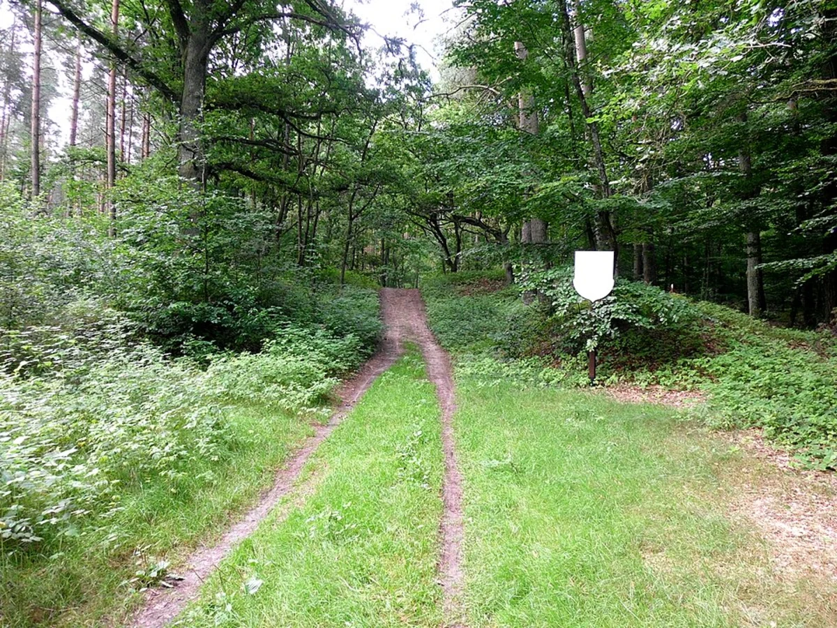 Waseberg and Polterberg via Baurs Weg and Suellbergsterrasse