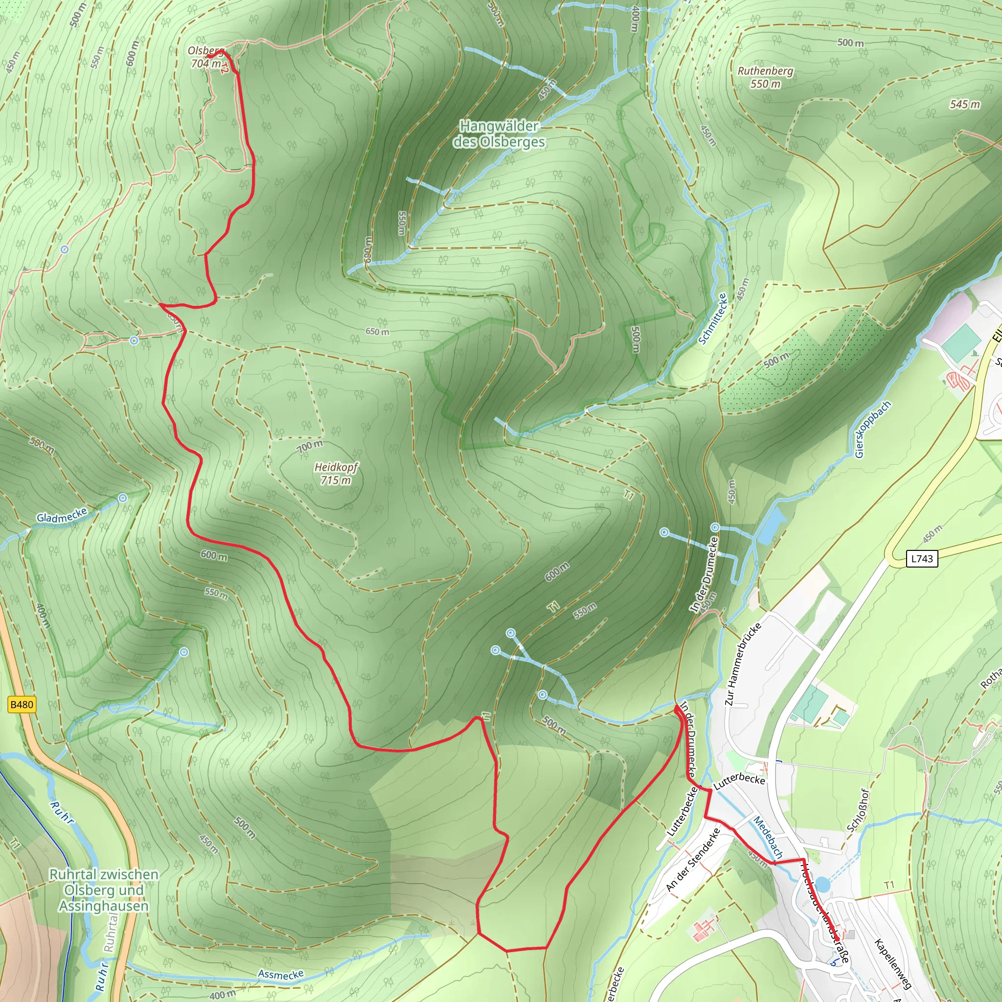 Olsberg Out and Back mobile static map