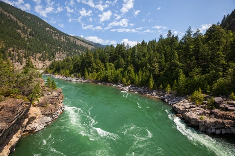 An image depicting the trail Williams Creek - Grambauer Trail and its surrounding area.