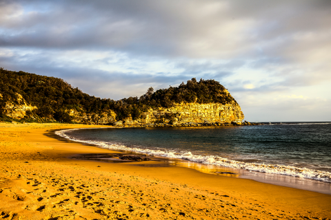 An image depicting the trail Maitland Bay Track and its surrounding area.