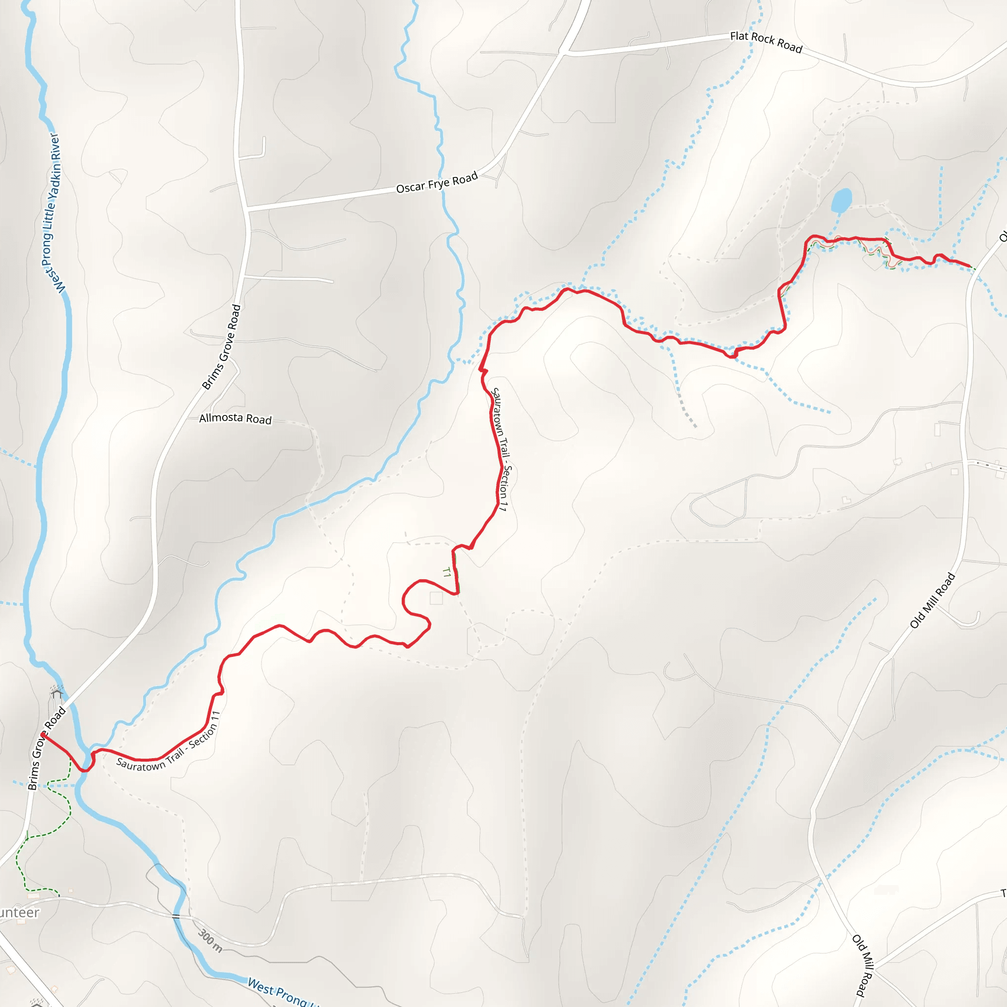 Sauratown Trail - Section 11 mobile static map