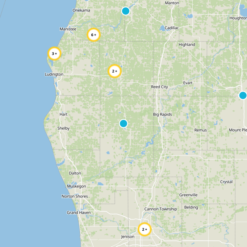 Newaygo County Static Map