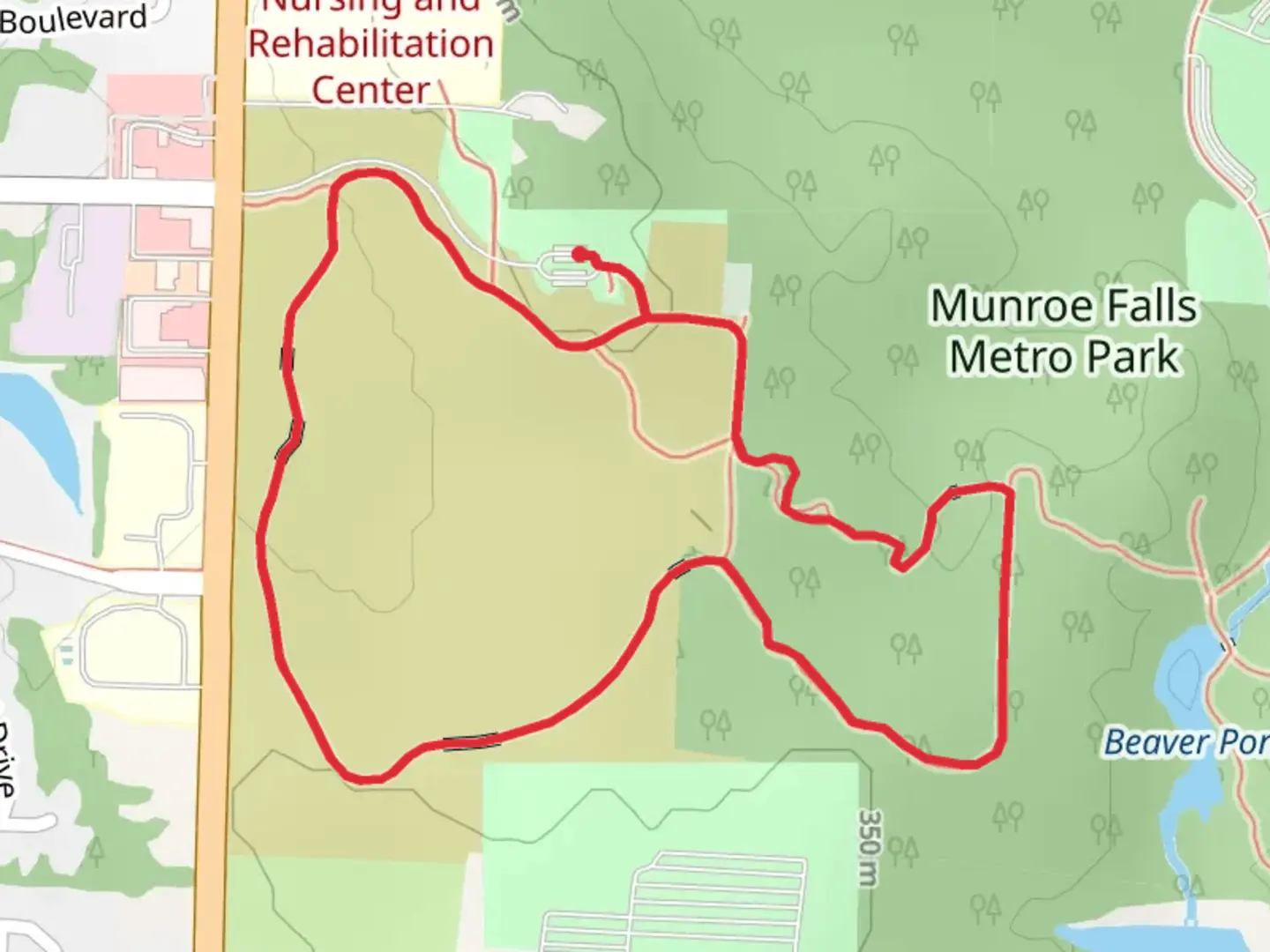 An image depicting the trail Meadow Loop Trail and its surrounding area.