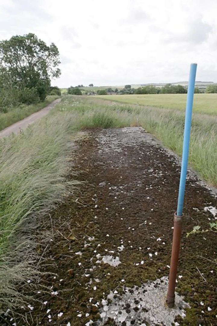 An image depicting the trail Allington Country Park Loop and its surrounding area.