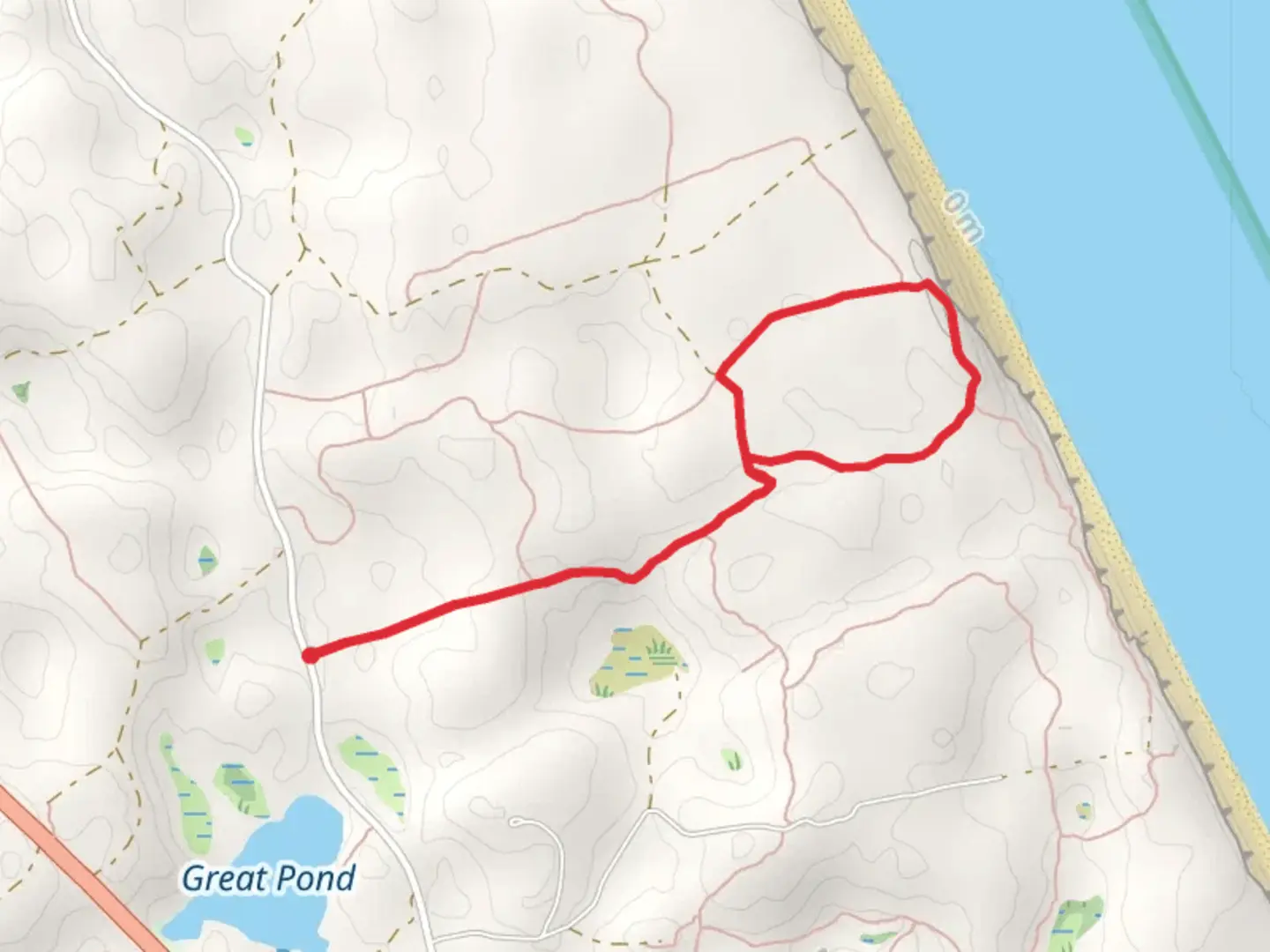 An image depicting the trail Featherbed Swamp Trail and its surrounding area.