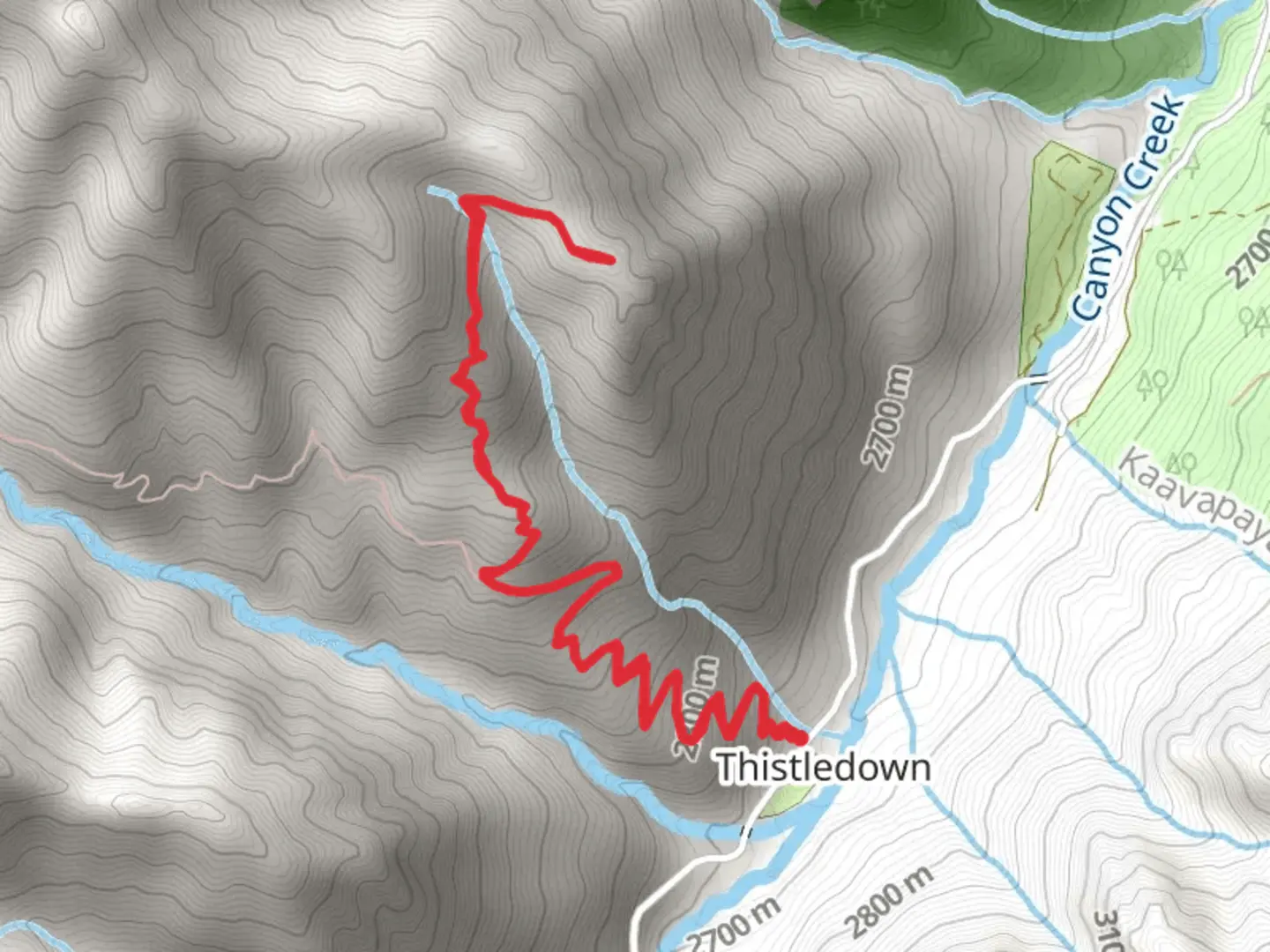 An image depicting the trail Camp Bird Road and its surrounding area.