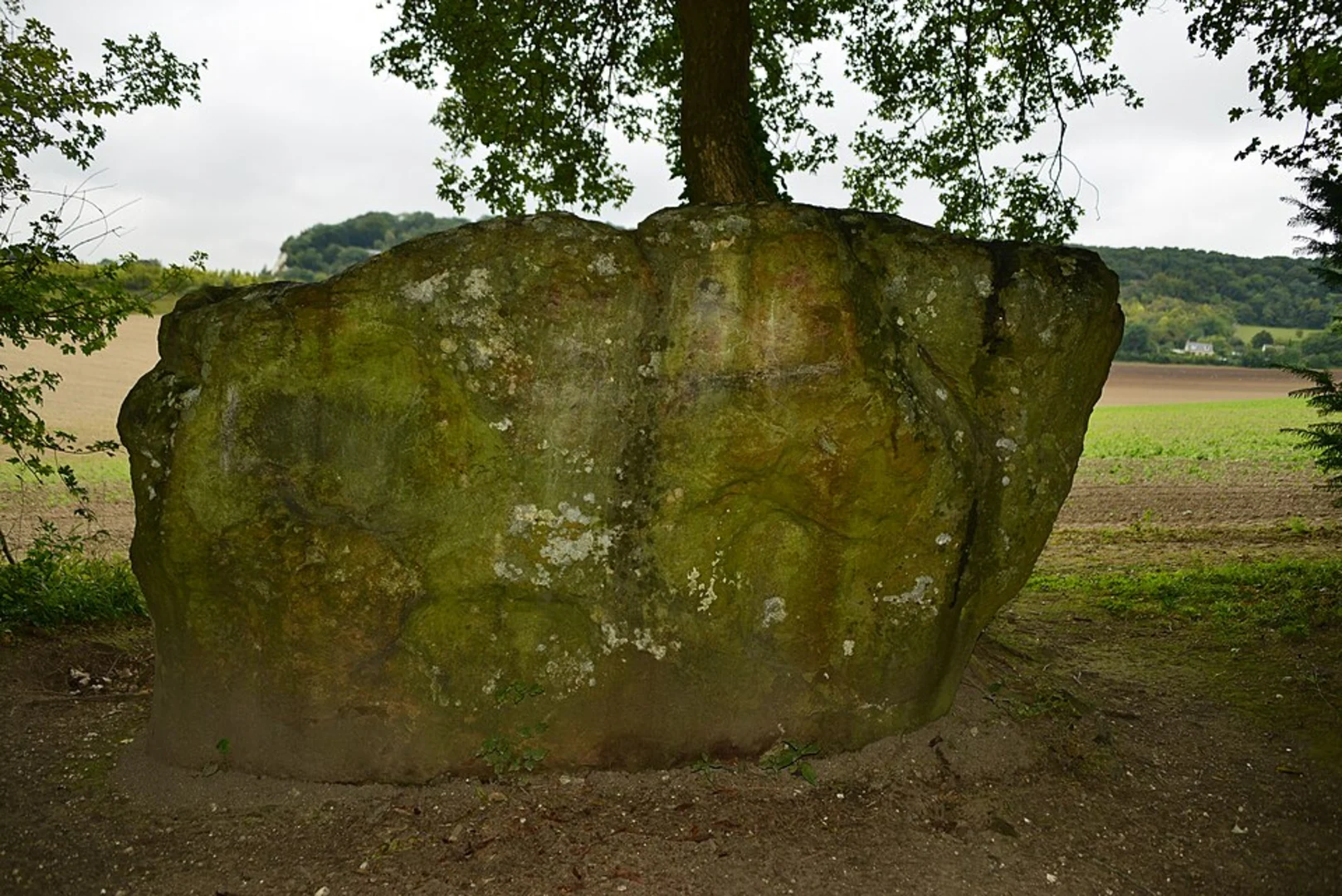 An image depicting the trail Boxley Warren and Coffin Stone via Pilgrims Way and its surrounding area.