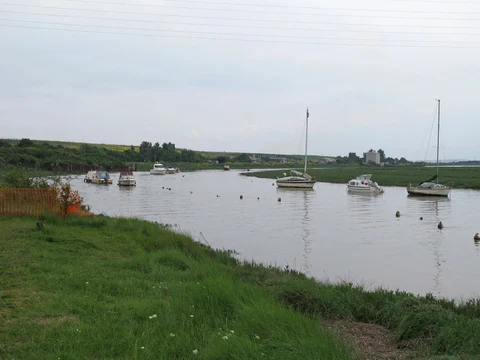 An image depicting the trail Wat Tyler Country Park Loop and its surrounding area.