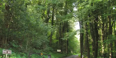 An image depicting the trail Cloughmore Trail via Fiddler’s Green and its surrounding area.