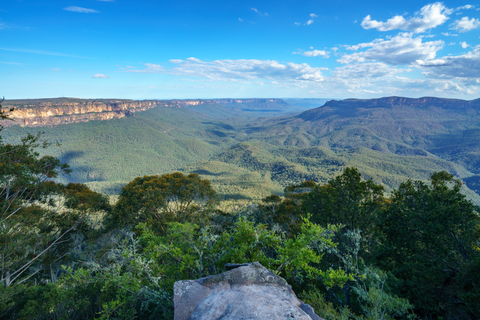 Forest Walk to Sublime Point Track