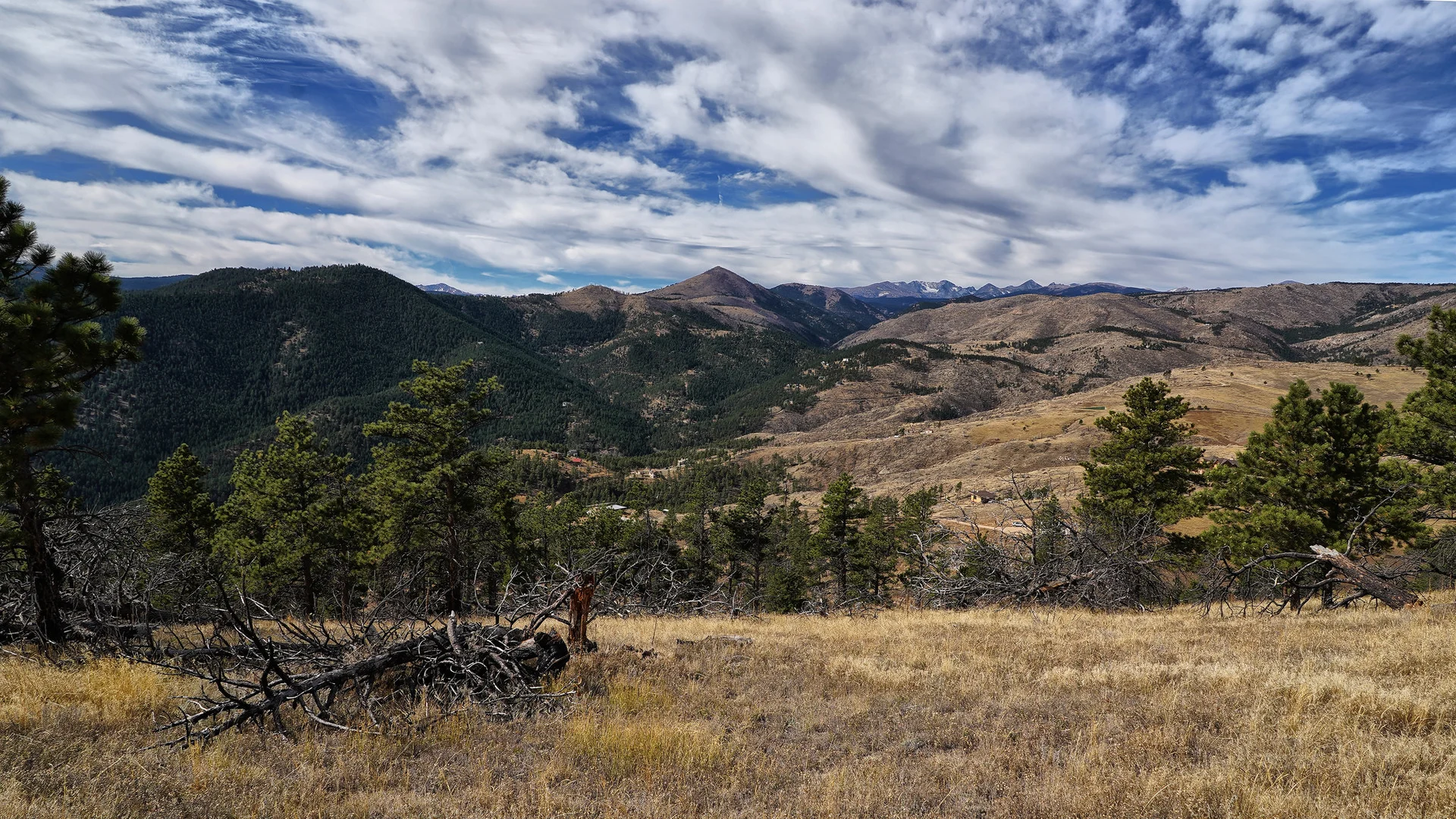 An image depicting the trail Bald Mountain Trail and its surrounding area.