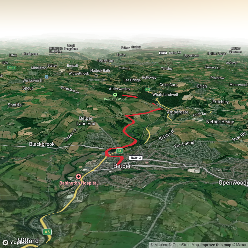 Coppice wood and The Birches