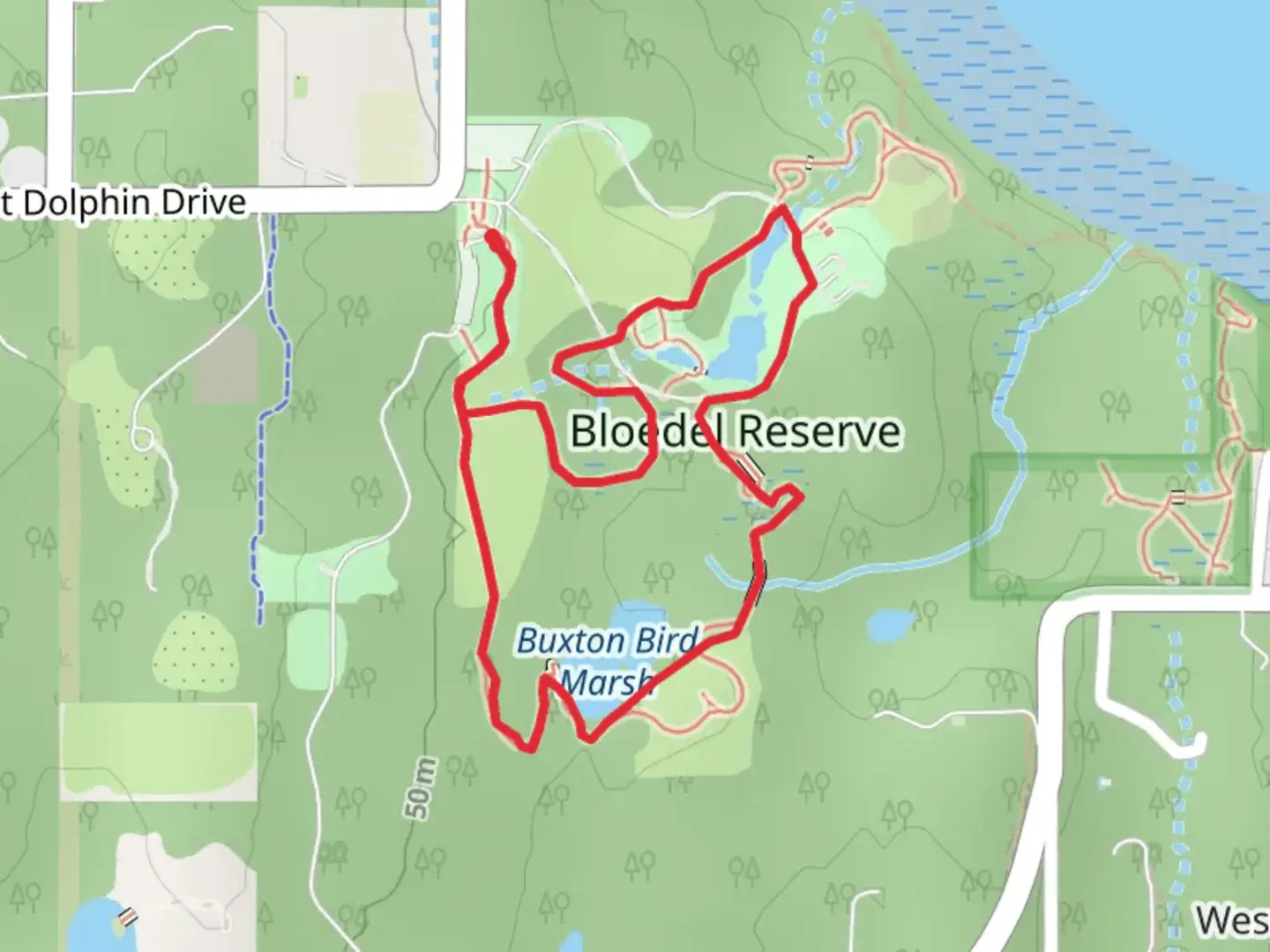 An image depicting the trail Moss Garden and Camelia Trail and its surrounding area.