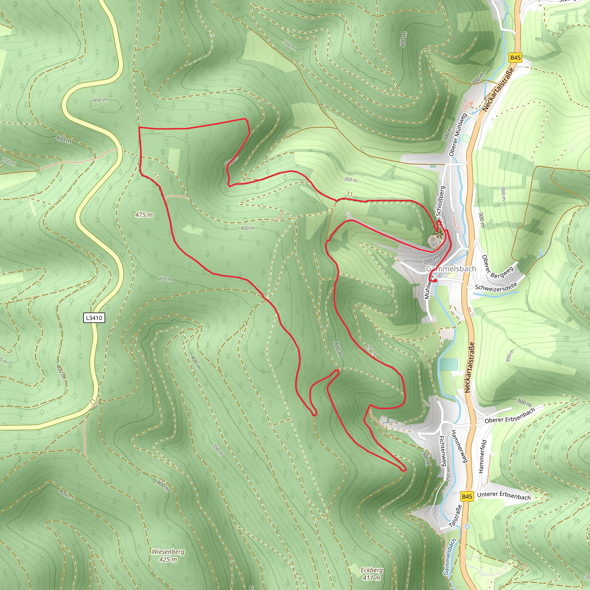 Rundwanderweg Gammelsbach mobile static map
