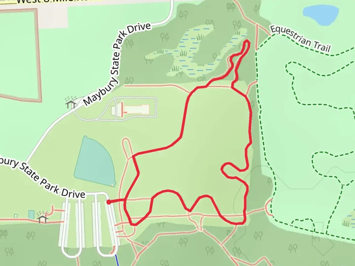 An image depicting the trail Bluebird Meadows Loop and its surrounding area.