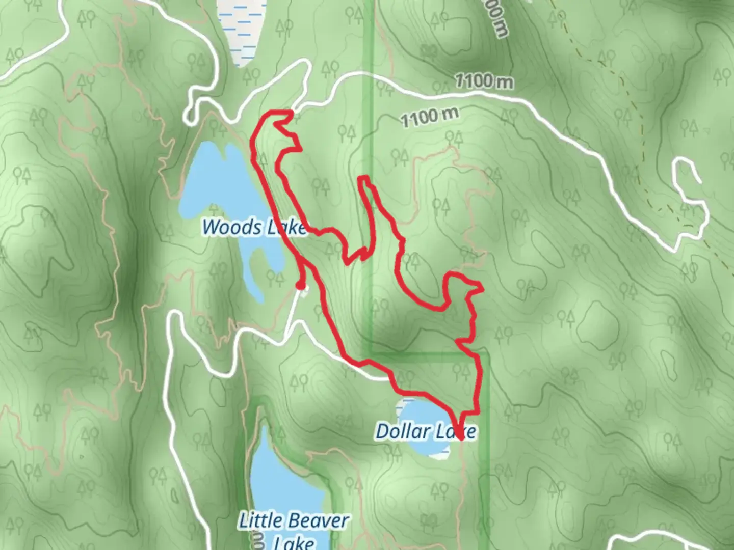 An image depicting the trail Whitefish Trail - Woods Lake Loop and its surrounding area.