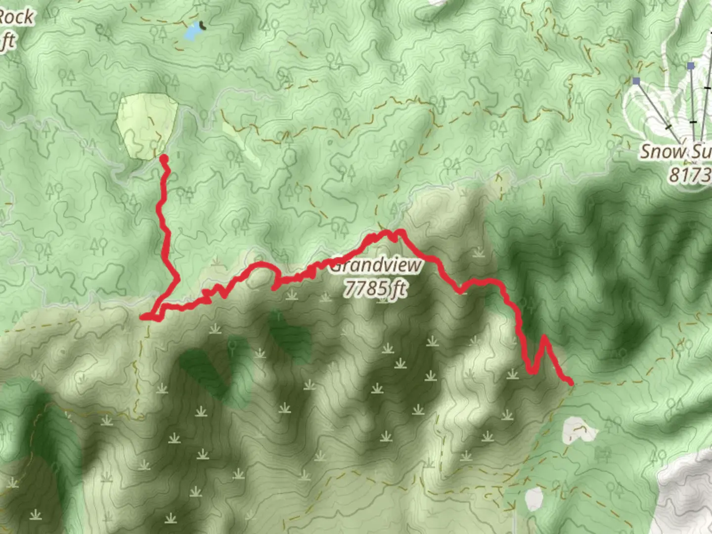 An image depicting the trail Plantation Trail, Skyline Trail and Seven Oaks Trail and its surrounding area.