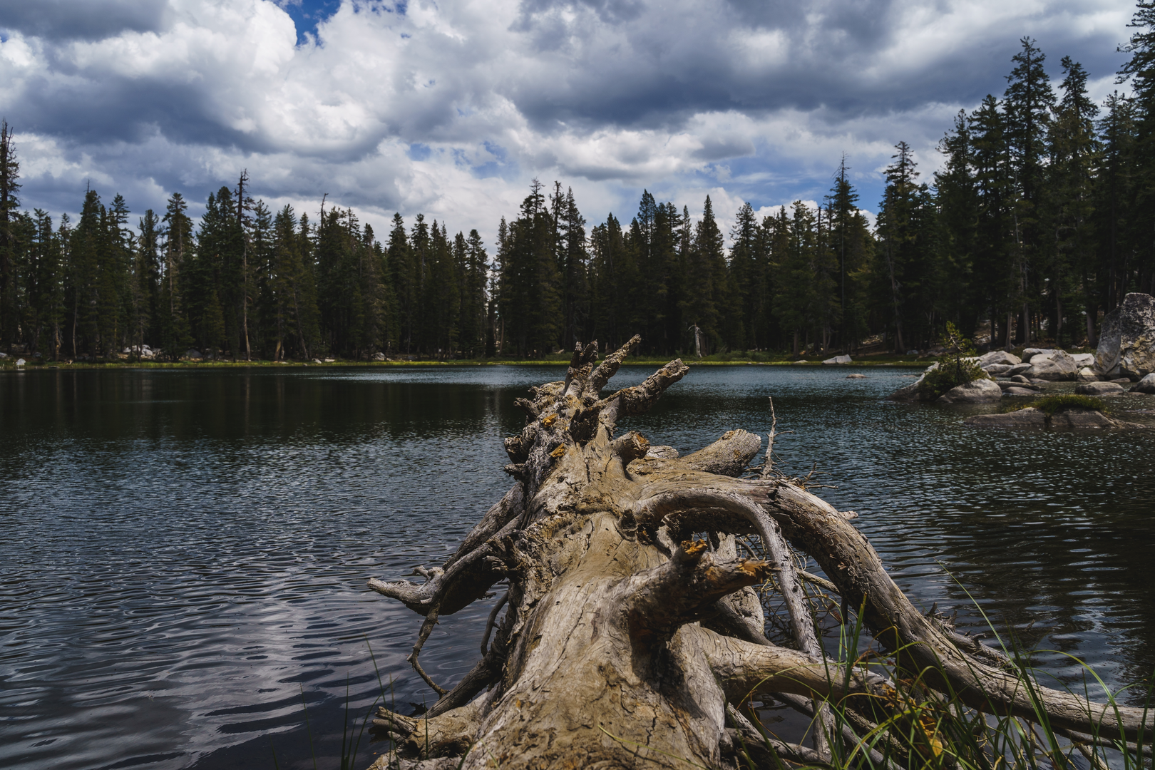 An image depicting the trail Brewer Lake Trail and its surrounding area.