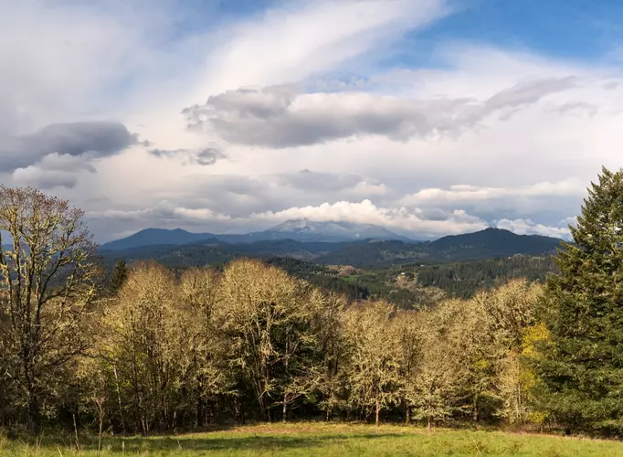 East Ridge Marys Peak Trail Benton County Oregon
