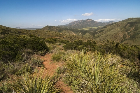 An image depicting the trail Ranch Center Road Trail and its surrounding area.