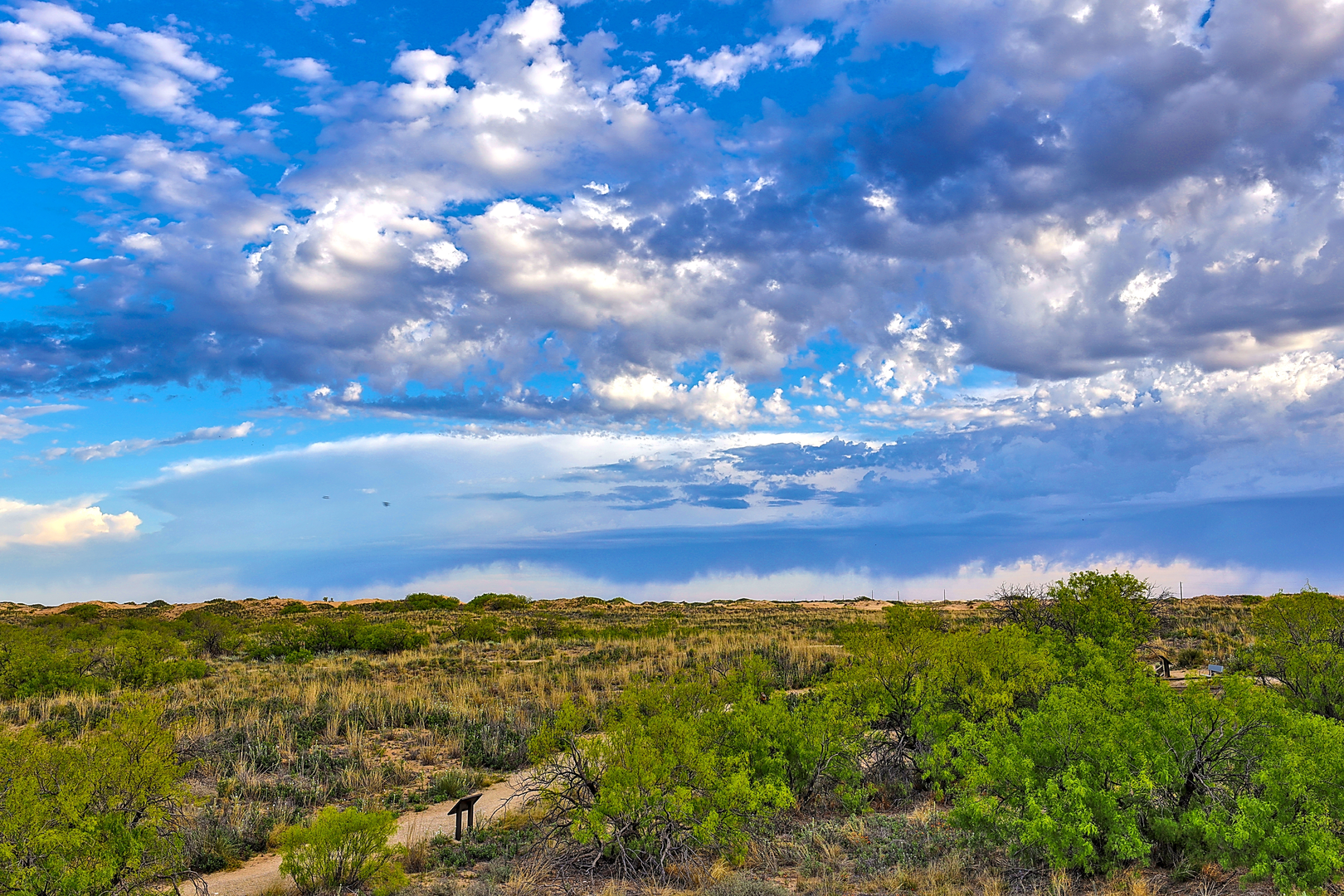 An image depicting the trail Nature Loop Trail and its surrounding area.