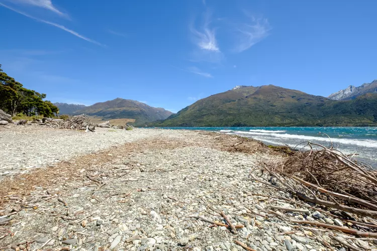 Boundary Creek Track