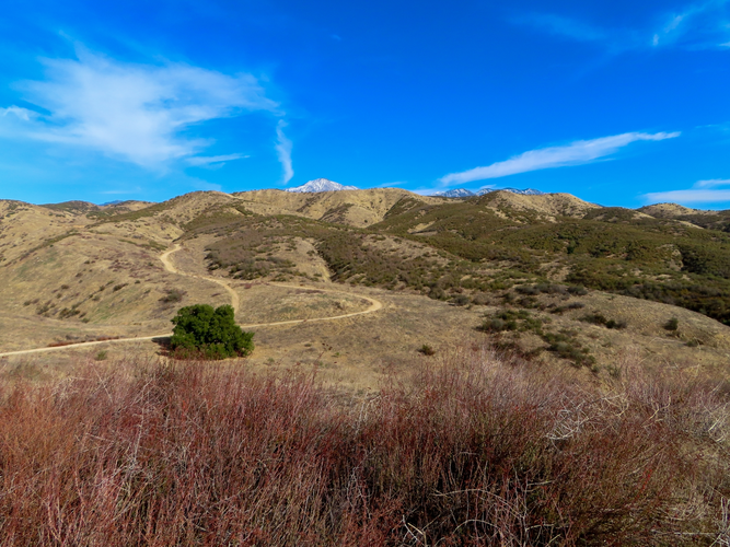 San Bernardino Peak Trail Out and Back