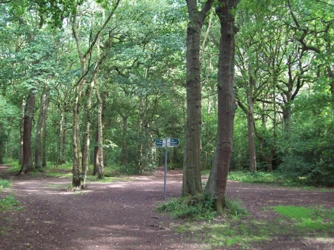 An image depicting the trail Ecclesall Woods Loop and its surrounding area.