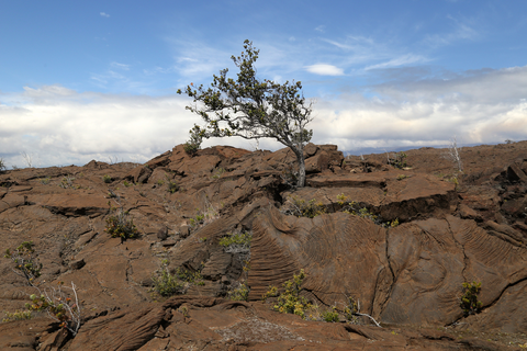 An image depicting the trail Ka'aha - Hilina Pali Connector Trail and its surrounding area.