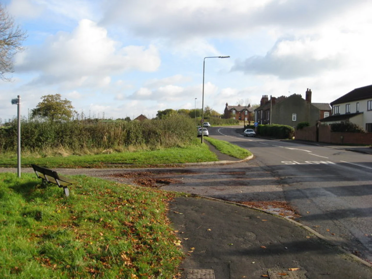 An image depicting the trail White Moor and Ripley Country Park Loop and its surrounding area.
