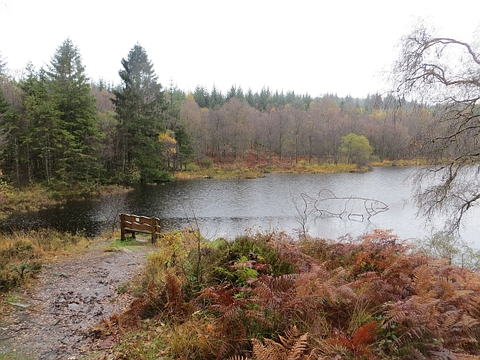 An image depicting the trail Lochan Spling Loop Trail and its surrounding area.