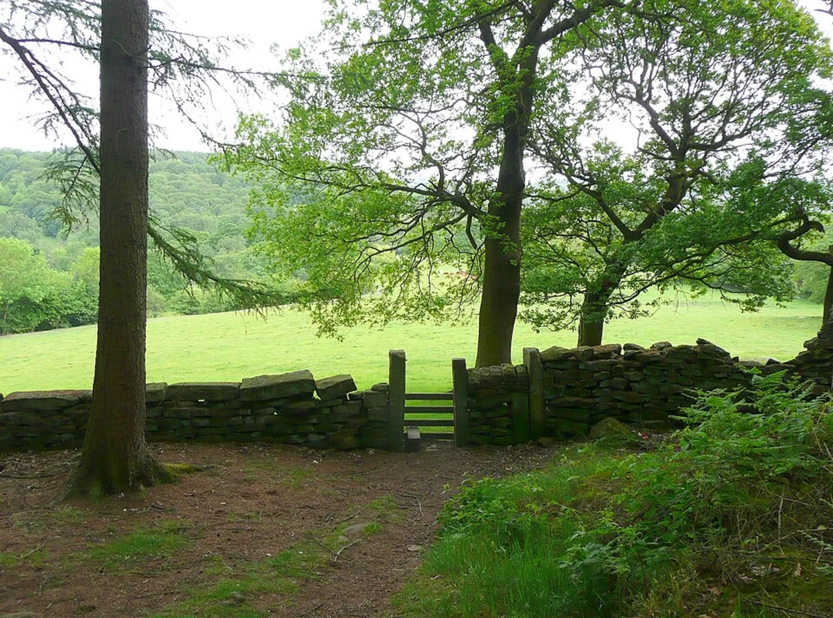 Cottingley Wood Estate Loop