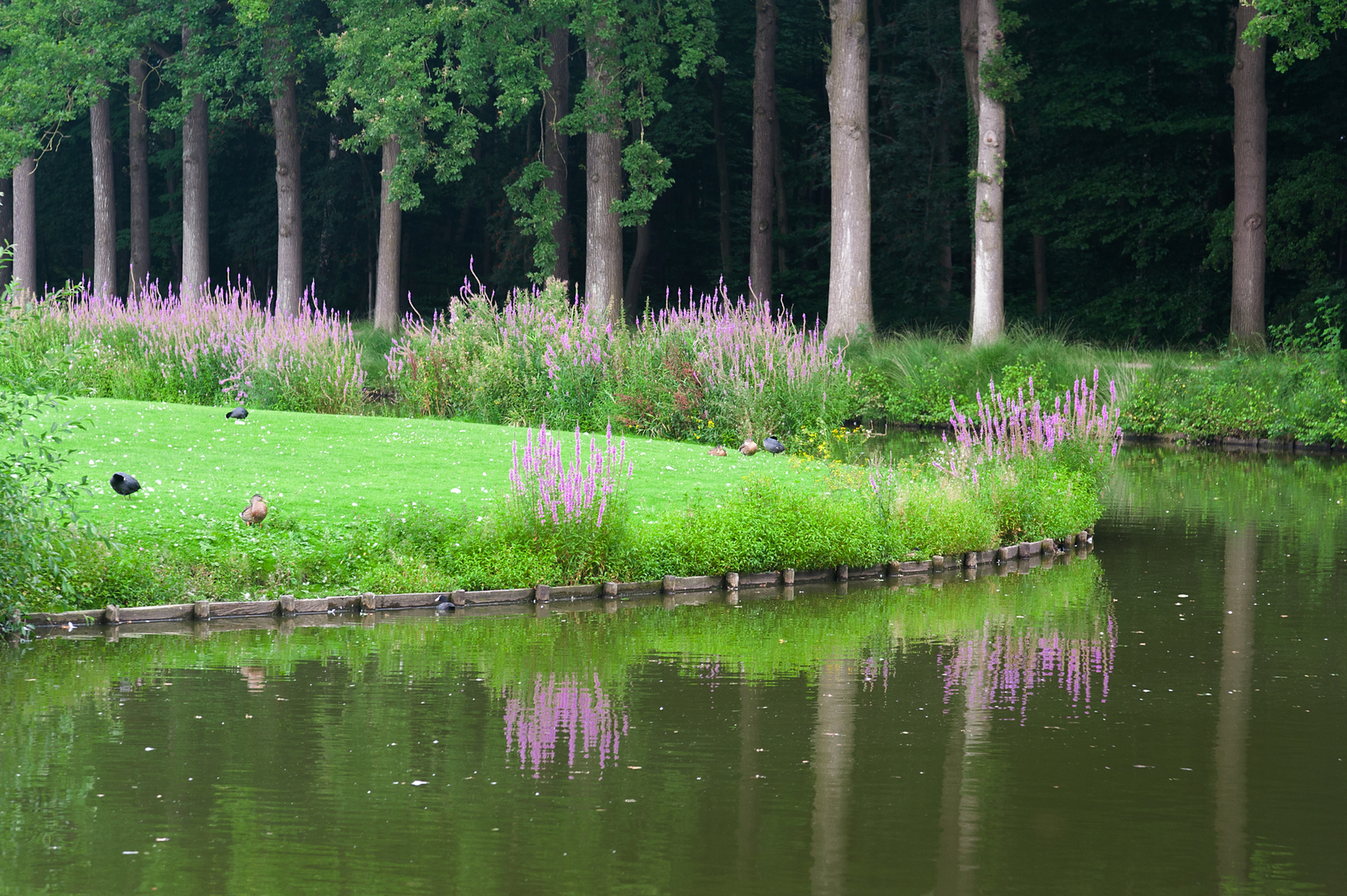 An image depicting the trail De Nieuweburgwal, Het Paradijs and Oosterbosch Loop and its surrounding area.