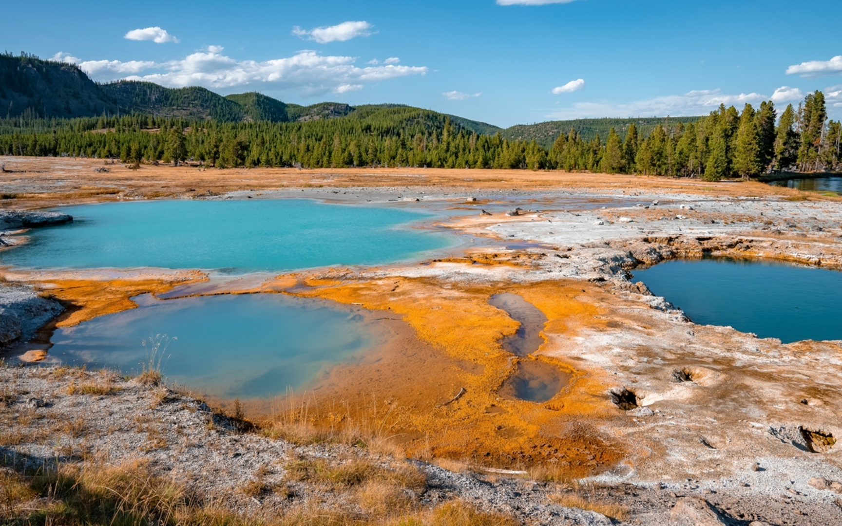 An image depicting the trail Biscuit Basin Trail and its surrounding area.