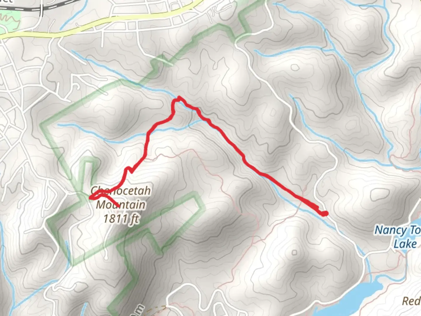 An image depicting the trail Chenocetah Mountain via Rhododendron Trail and its surrounding area.