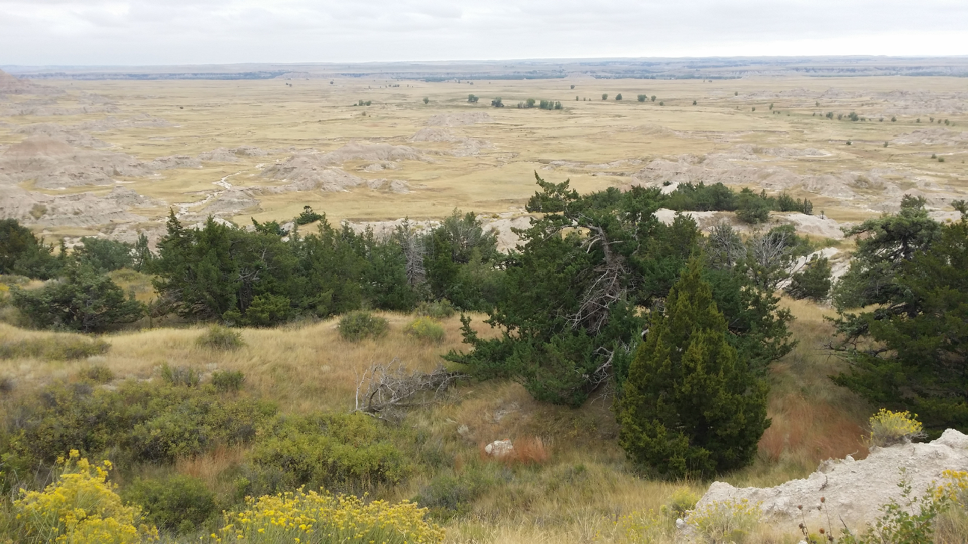 An image depicting the trail Fossil Exhibit Trail and its surrounding area.