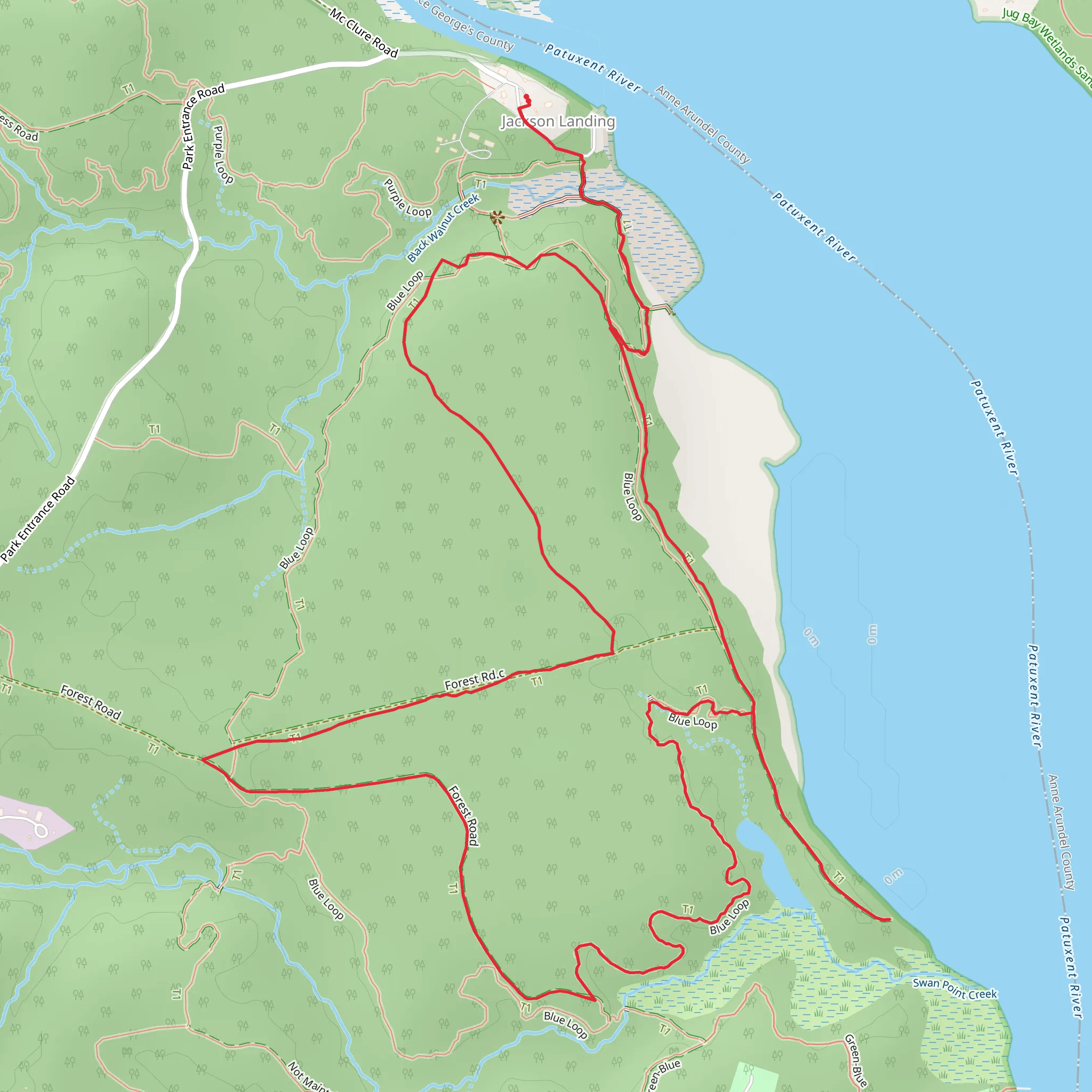 Brown and Blue Loop mobile static map