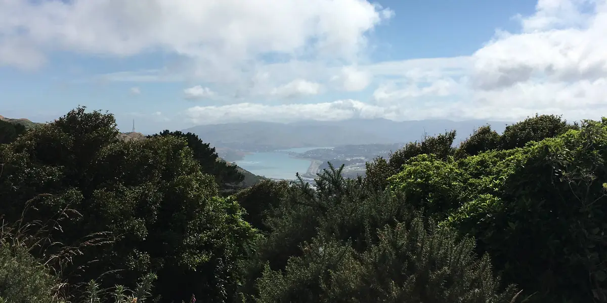 Colonial Knob Scenic Reserve