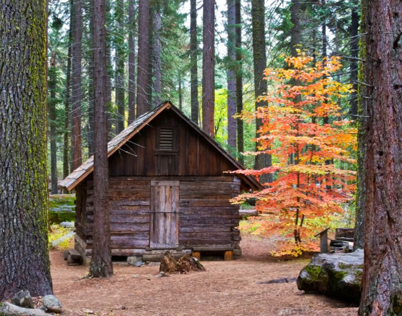An image depicting the trail Graveyard of the Giants Trail and its surrounding area.