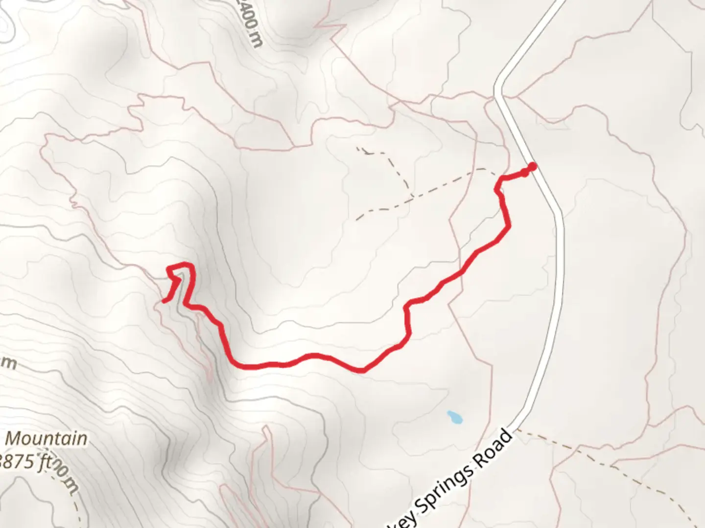 An image depicting the trail Turkey Springs Bypass Trail via Turkey Springs Trail and its surrounding area.