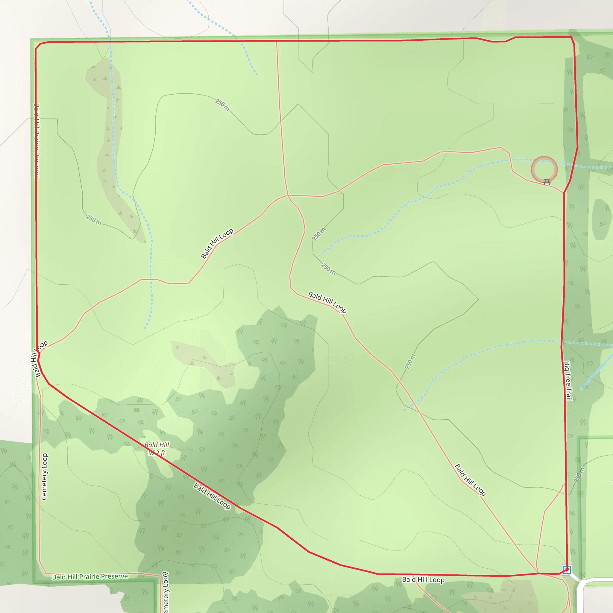 Bald Hill and Big Tree Loop Trail mobile static map