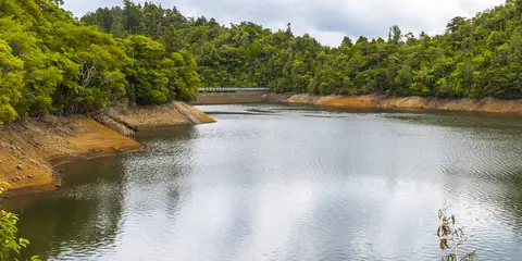 An image depicting the trail Upper Nihotupu Walk and its surrounding area.