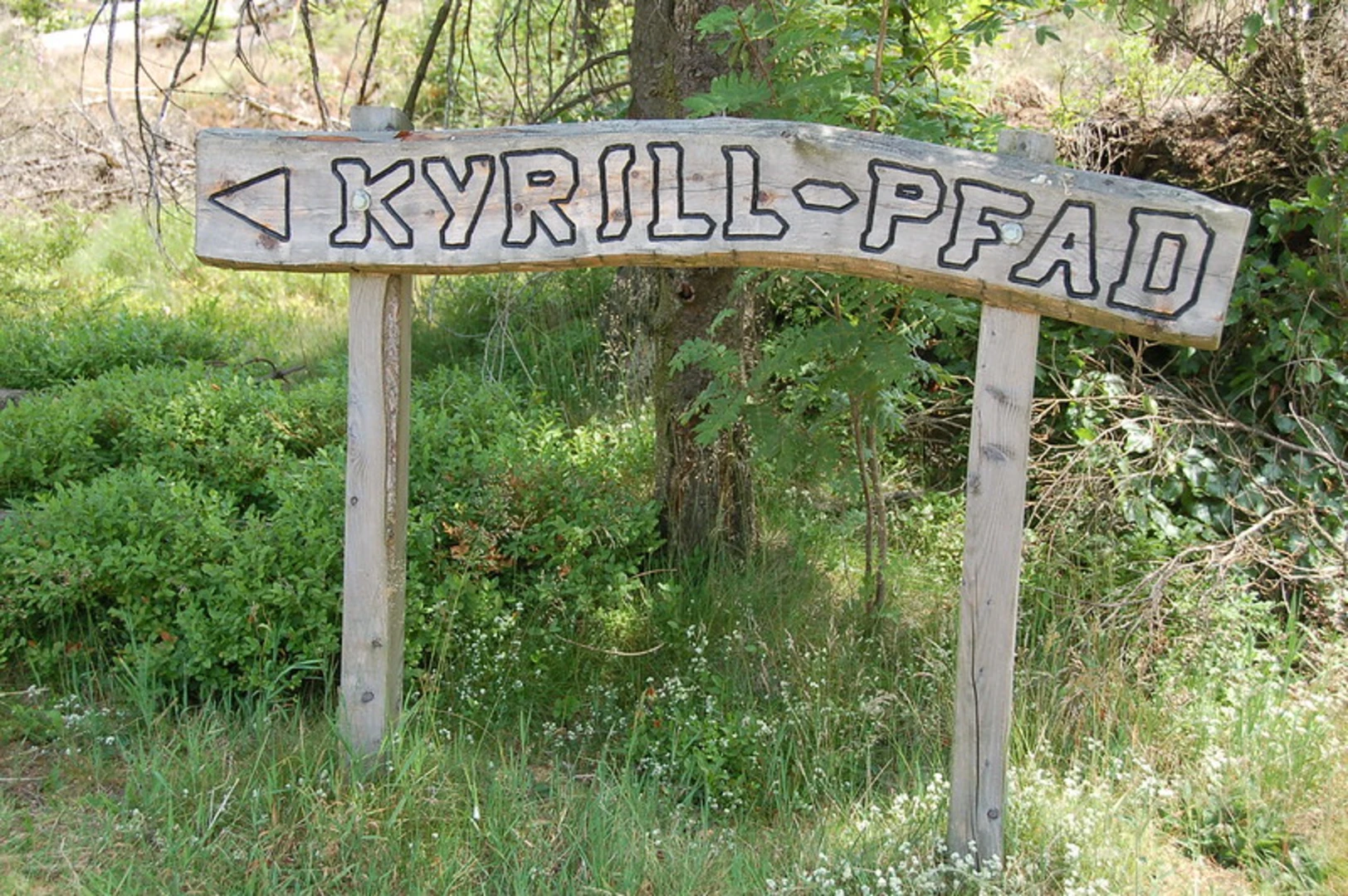 An image depicting the trail Traumschleife Burgstadt-Pfad Loop and its surrounding area.