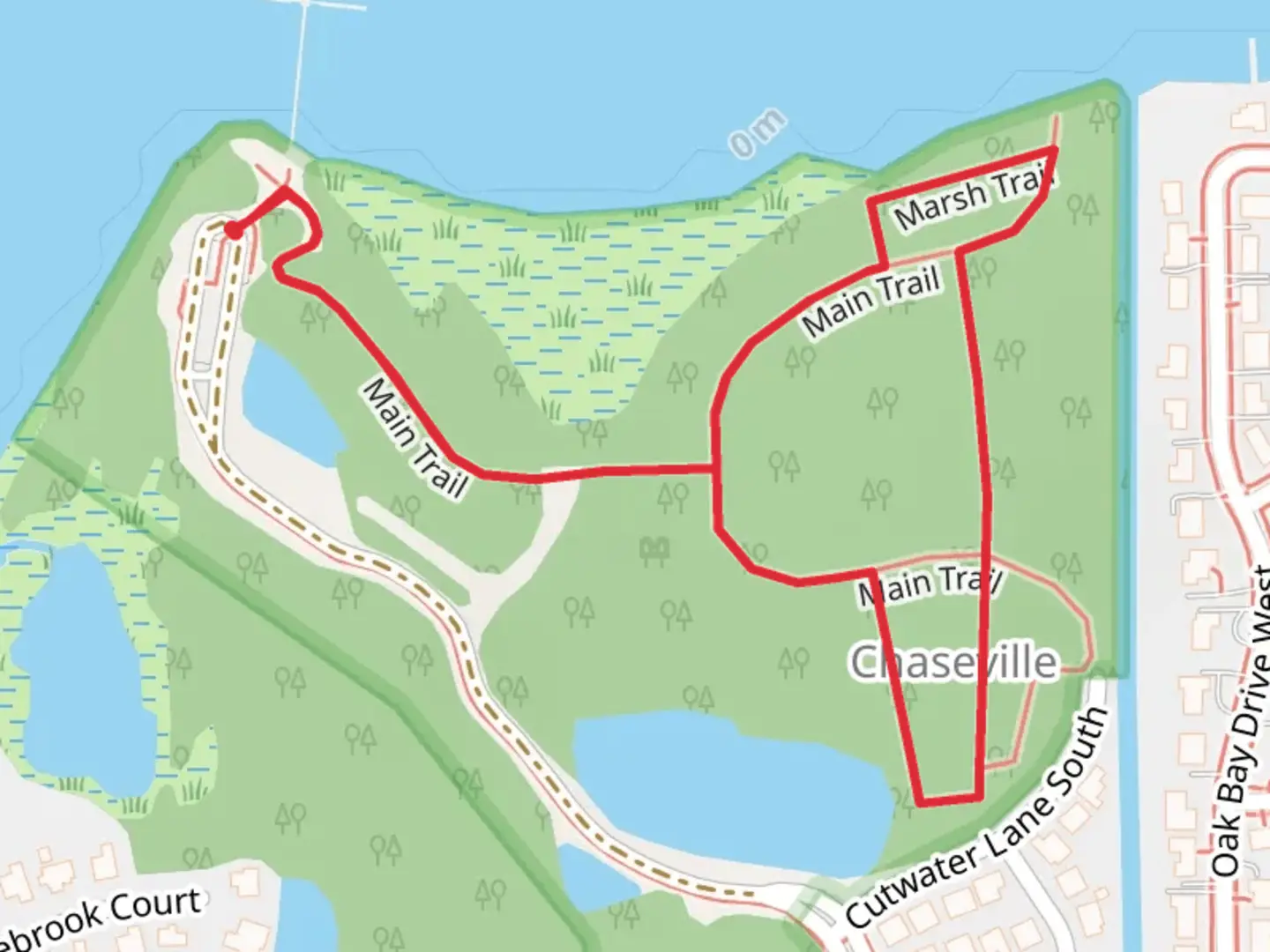 An image depicting the trail Main Trail and its surrounding area.