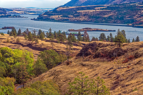 An image depicting the trail Catherine Creek Shortcut Trail and its surrounding area.