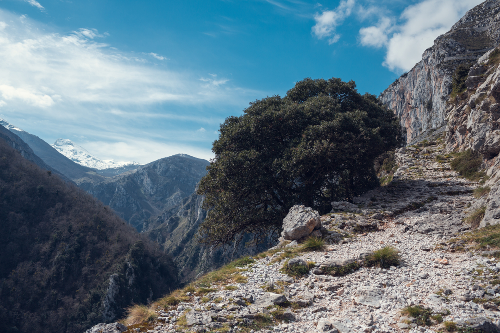 An image depicting the trail PR PNPE 17 Entorno de Tresviso and its surrounding area.