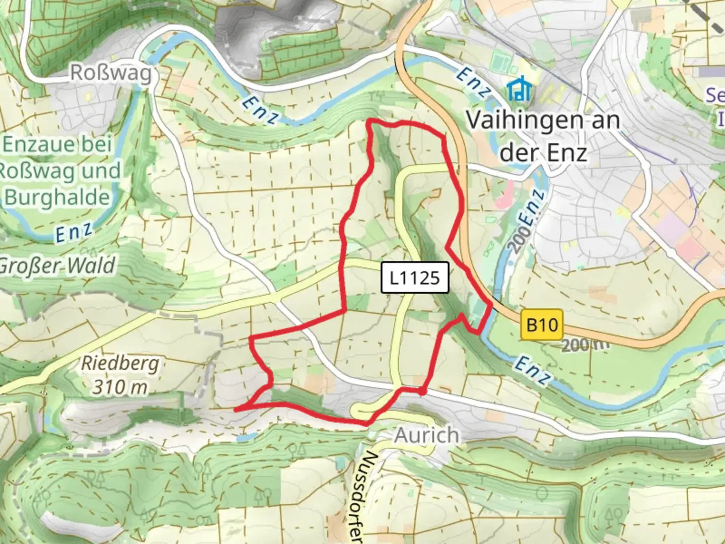 An image depicting the trail Aurich Loop and its surrounding area.