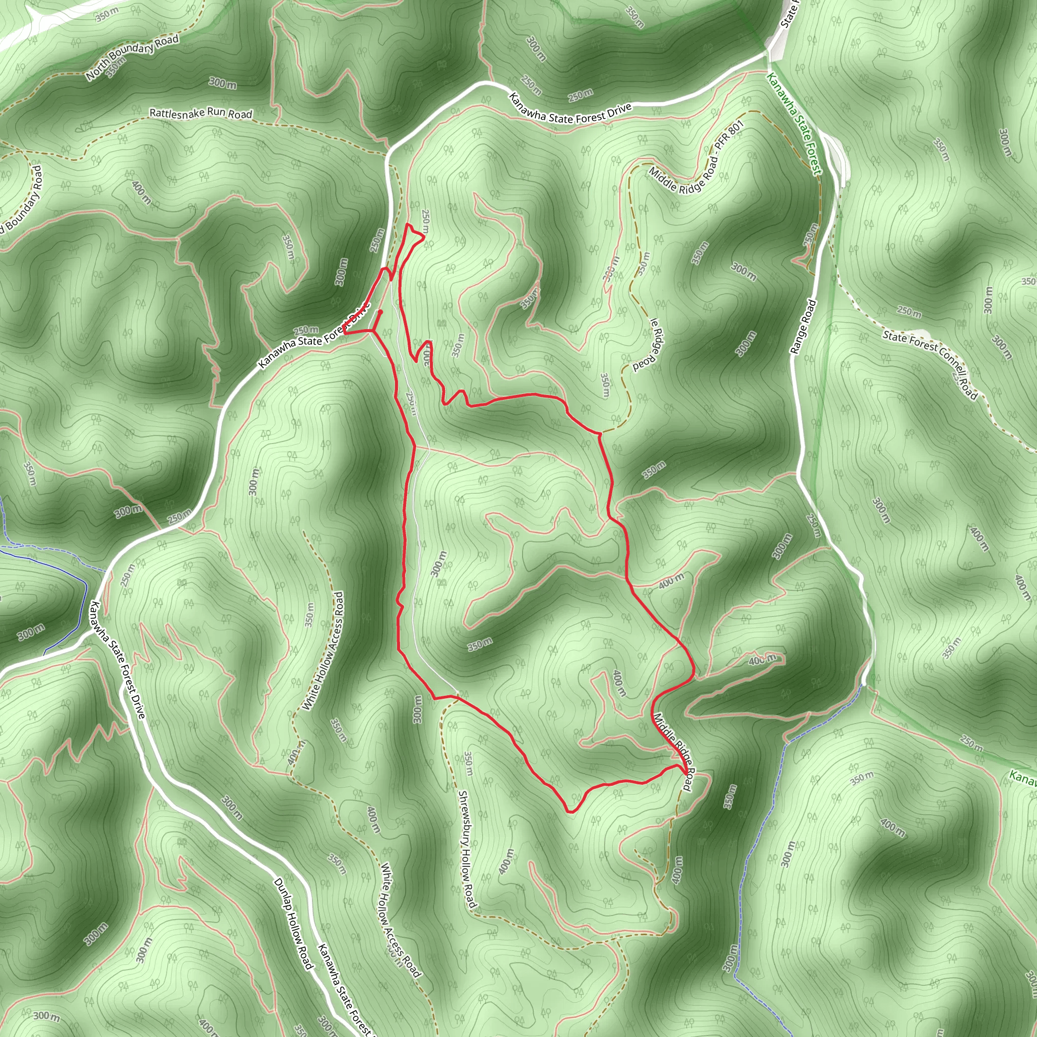 Teaberry Rock - Middle Ridge - Mossy Rock Loop Trail mobile static map