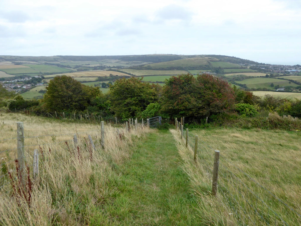 Godshill Loop via Stenbury Down and Appuldurcombe House
